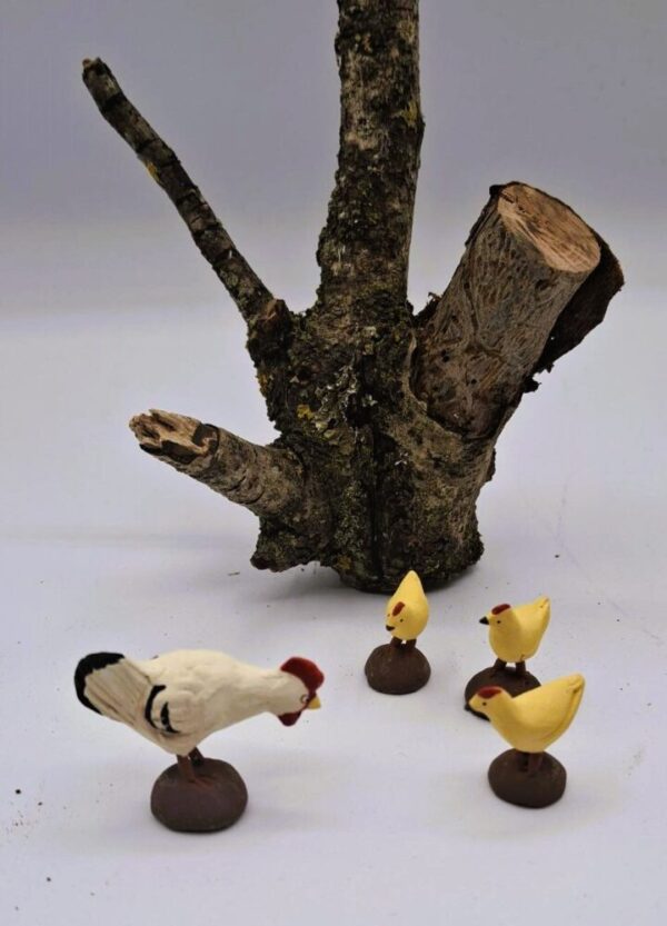 familia gallina - Imagen 2