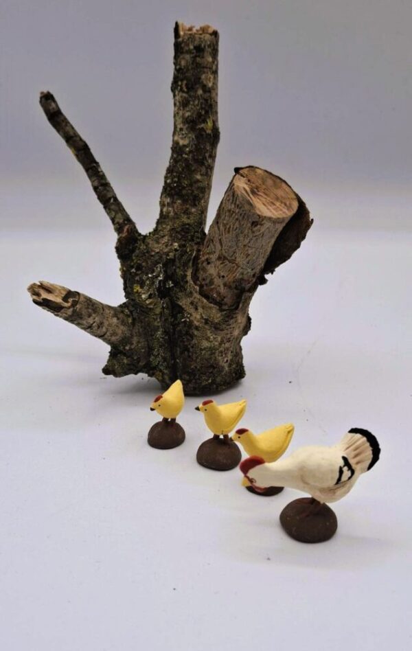 familia gallina - Imagen 3