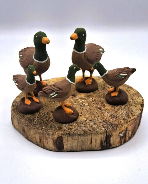 Pato cuello verde - Imagen 2