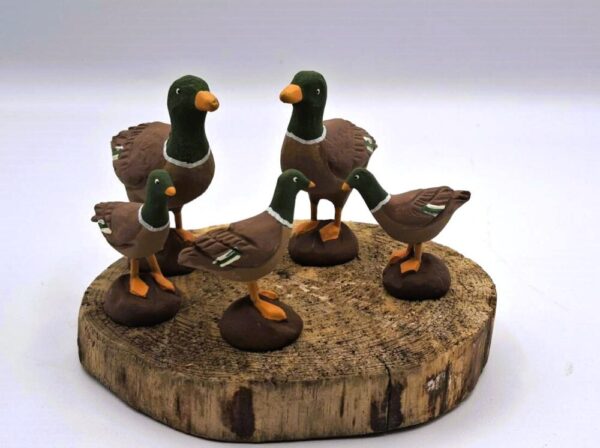 Pato cuello verde - Imagen 3
