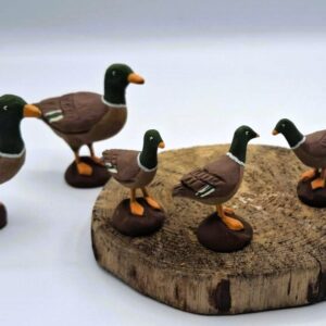 Pato cuello verde