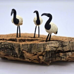 Ibis egipcios