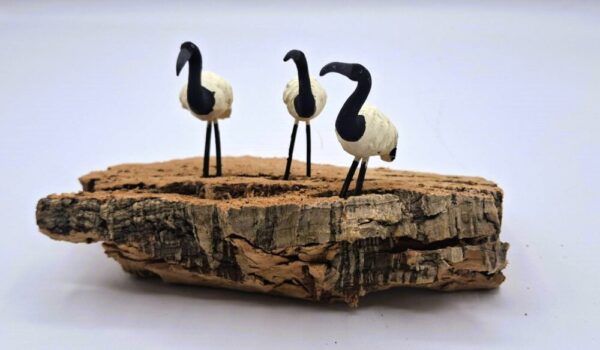 Ibis egipcios