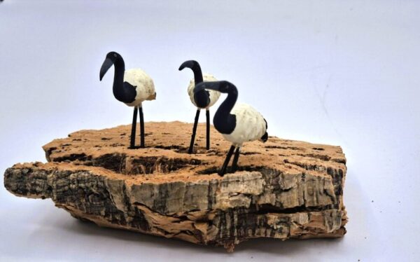 Ibis egipcios - Imagen 2