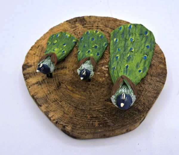 Pavo Reales - Imagen 3