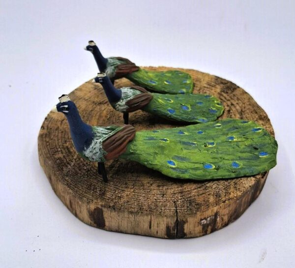Pavo Reales