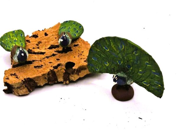 Pavo Reales - Imagen 2