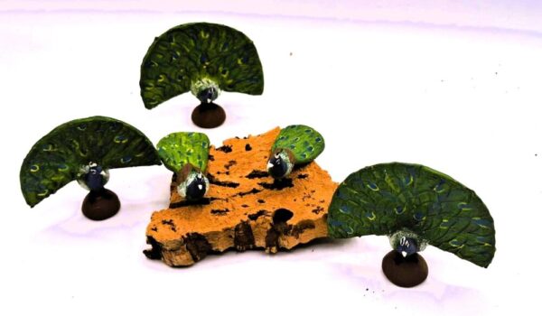 Pavo Real cola abierta - Imagen 2