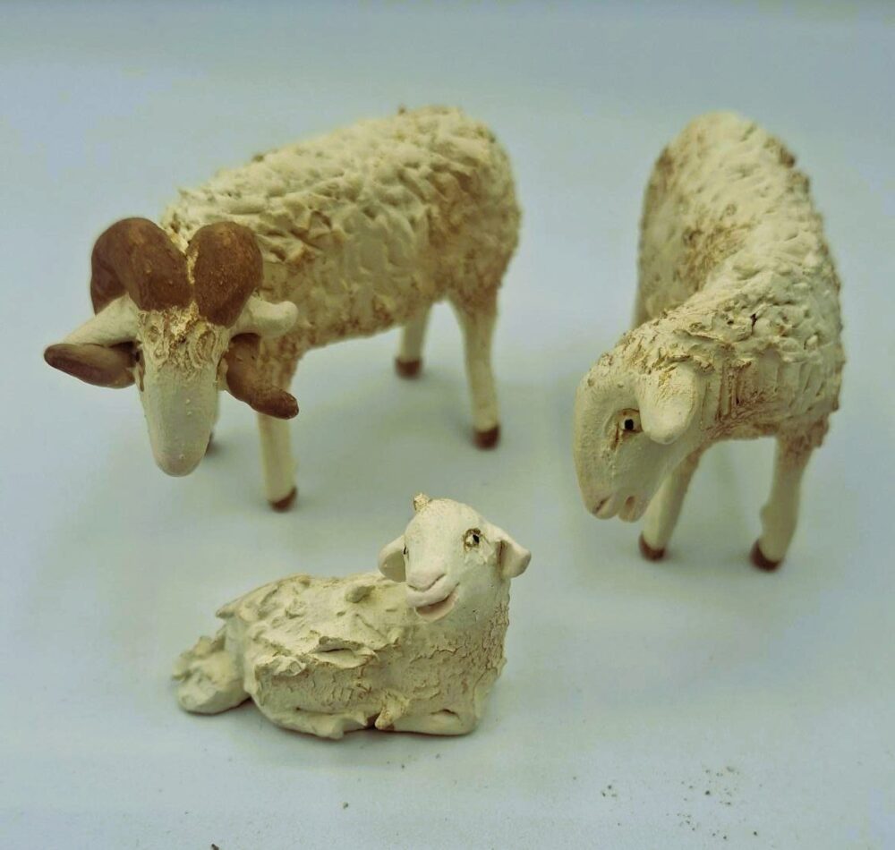 Familia de Ovejas - Imagen 3