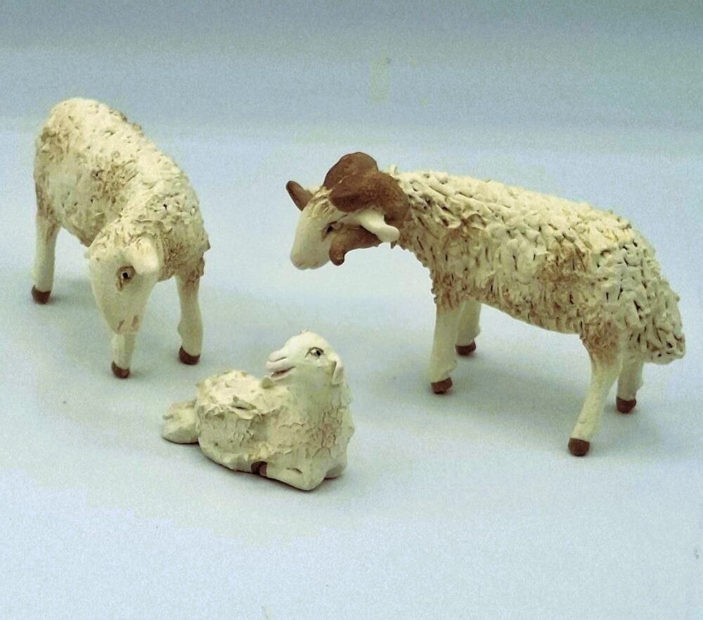 Familia de Ovejas - Imagen 2